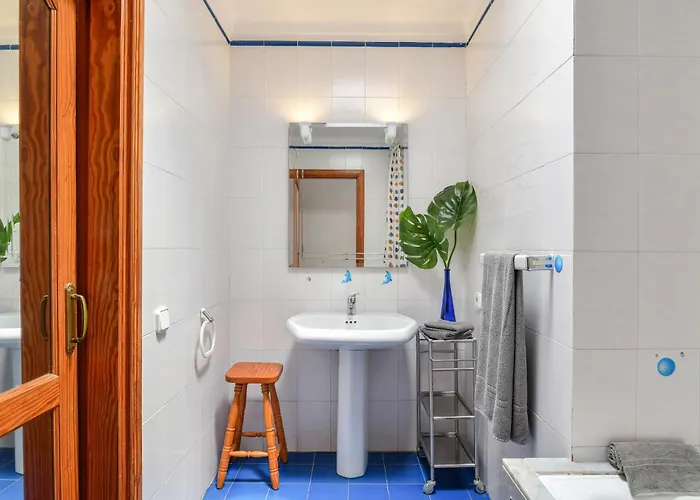 Alex فيلة بويرتو ذيل كارمين